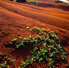亚克系统亚洲分店，2024春节特别促销活动开始！